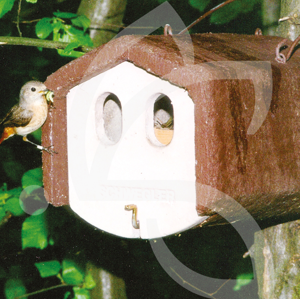 Nichoir rouge-gorge en bois naturel - Nichoirs oiseaux sauvages
